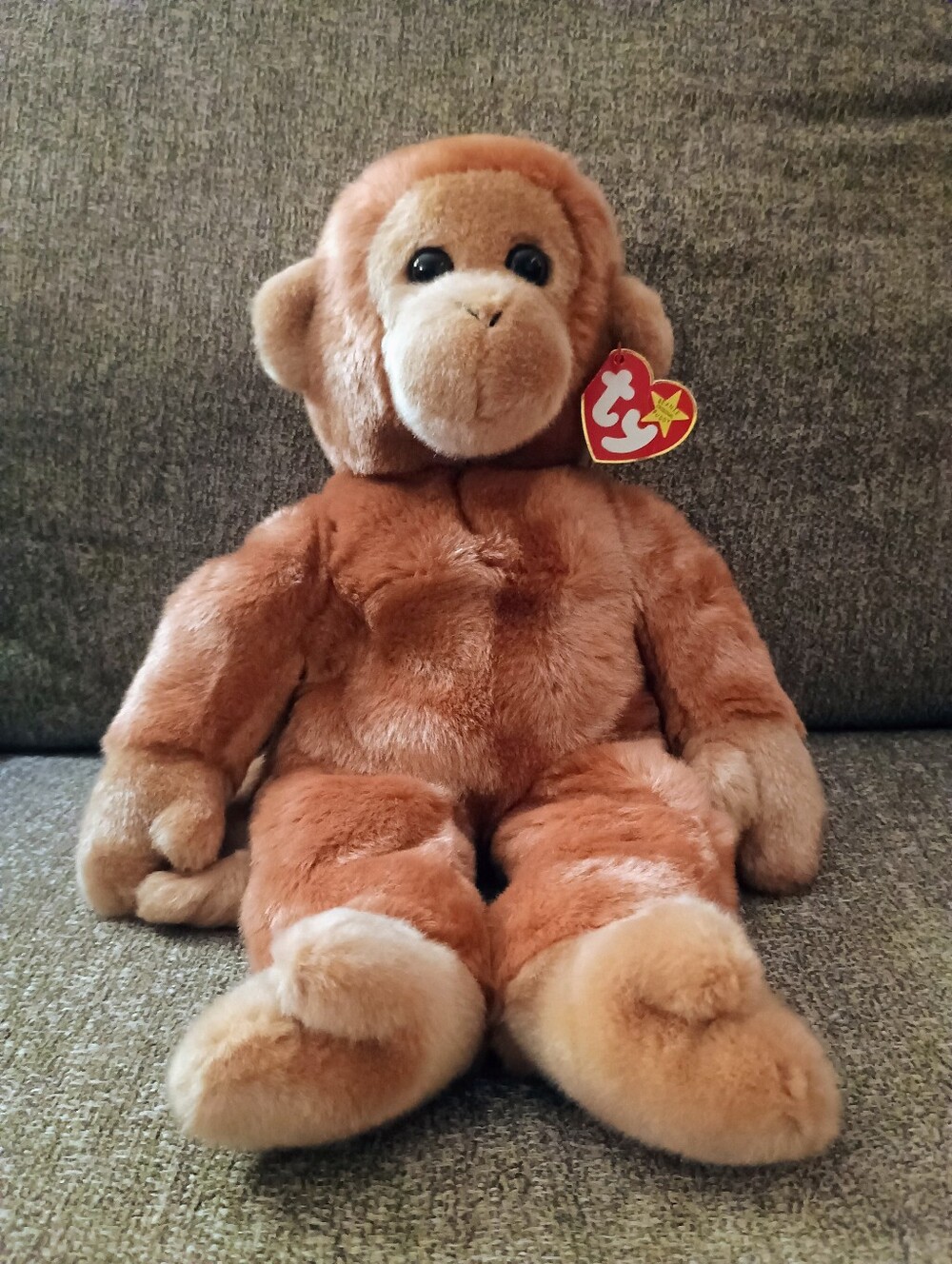 Ty Beanie Buddy- Bongo Large